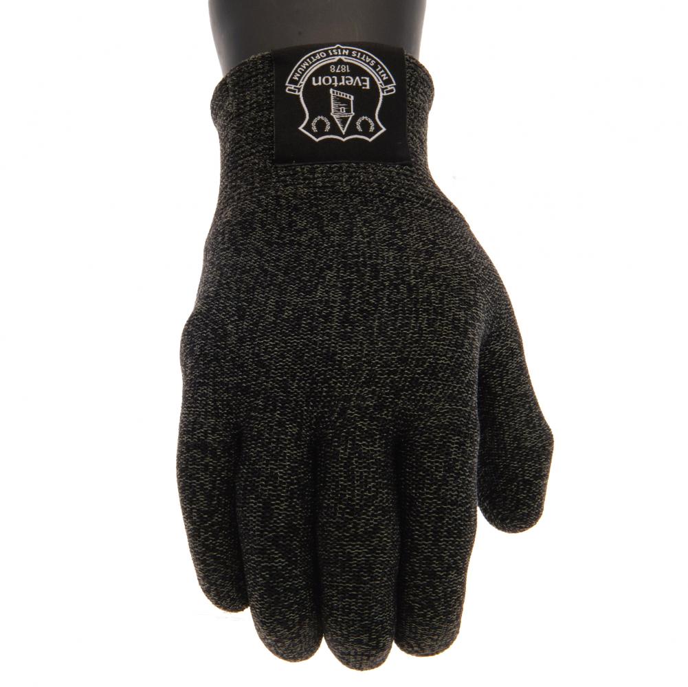 everton handschuhe Everton FC Luxury Touchscreen Gloves
