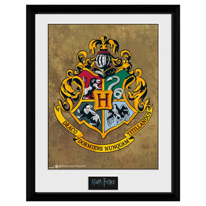 Harry Potter Framed Hogwarts Picture Image 1