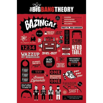 The Big Bang Theory Infographic Poster Image 1