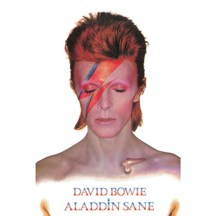 David Bowie Aladdin Slane Poster Image 1