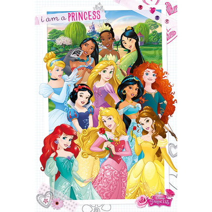 Disney Princess Poster Image 1