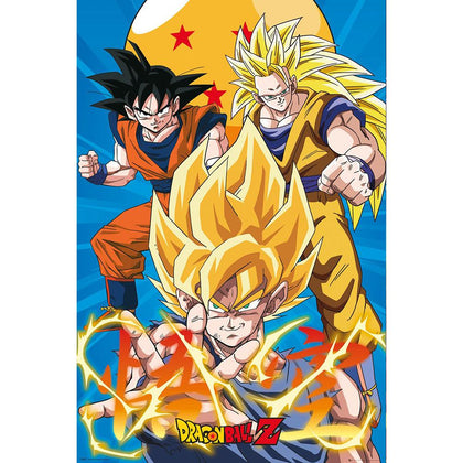 Dragon Ball Z Gokus Poster Image 1
