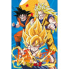 Dragon Ball Z Gokus Poster Image 1