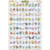 Pokemon Johto Poster Image 1