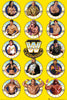 WWE Legends Poster Image 1