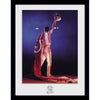 Queen Framed Picture Crown Image 1
