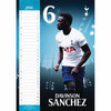 Tottenham Hotspur FC 2022 Calendar Image 2