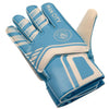 Manchester City FC Goalkeeper Gloves Image 2