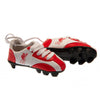 Liverpool FC Football Boots Car Decoration Image 2