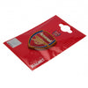 Arsenal FC 3D Fridge Magnet Image 3