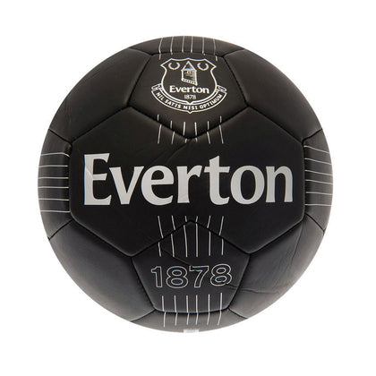Everton FC Skill Ball Image 1