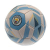 Manchester City FC Skill Ball Image 2