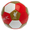 Liverpool FC Size 3 Football Image 3