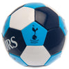 Tottenham Hotspur FC Size 3 Football Image 3