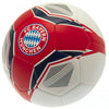 FC Bayern Munich Football Image 2