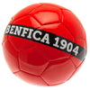 SL Benfica Football Image 2