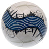 Chelsea FC Football Image 3