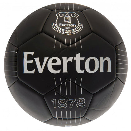 Everton FC Football Image 1