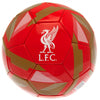 Liverpool FC Football Image 2