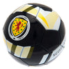 Scotland Football Image 2