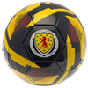Scotland Football Image 2