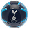 Tottenham Hotspur FC Football Image 1