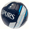 Tottenham Hotspur FC Football Image 1