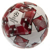 UEFA Champions League Star Football Image 1