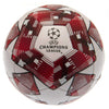 UEFA Champions League Star Football Image 2