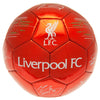 Liverpool FC Signature Football Image 2