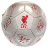 Liverpool FC Signature Football Image 2