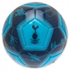 Tottenham Hotspur FC Signature Football Image 2