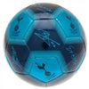 Tottenham Hotspur FC Signature Football Image 3