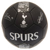 Tottenham Hotspur FC Signature Football Image 2