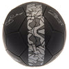 Tottenham Hotspur FC Signature Football Image 3
