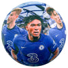 Chelsea FC Players Photo Football Image 2