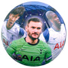 Tottenham Hotspur FC Players Photo Football Image 2