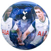 Tottenham Hotspur FC Players Photo Football Image 3