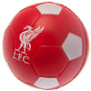 Liverpool FC Stress Ball Image 2