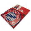 FC Bayern Munich Single Duvet Set Image 3