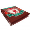 Liverpool FC Players Double Duvet Set Image 2
