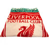 Liverpool FC YNWA Fleece Blanket Image 2