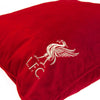 Liverpool FC Velvet Cushion Image 2