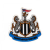 Newcastle United FC 3D Fridge Magnet Image 1
