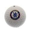 Chelsea FC Golf Ball Tube Image 2