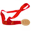 Liverpool FC Istanbul 2005 Replica Medal Image 2
