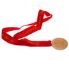 Liverpool FC Wembley 1978 Replica Medal Image 2