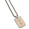 Tottenham Hotspur FC Stainless Steel Icon Dog Tag & Chain Image 2