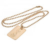 Tottenham Hotspur FC Gold Plated Dog Tag & Chain Image 1
