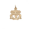 Liverpool FC 9ct Gold Crest Pendant Image 3